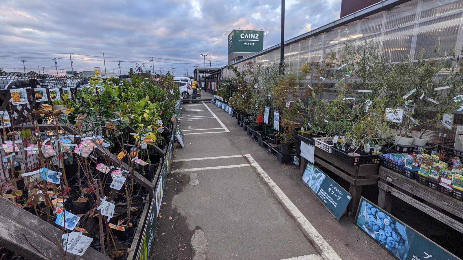 カインズ 木更津金田店 魅惑なる千葉の旅 マサのライフワーク