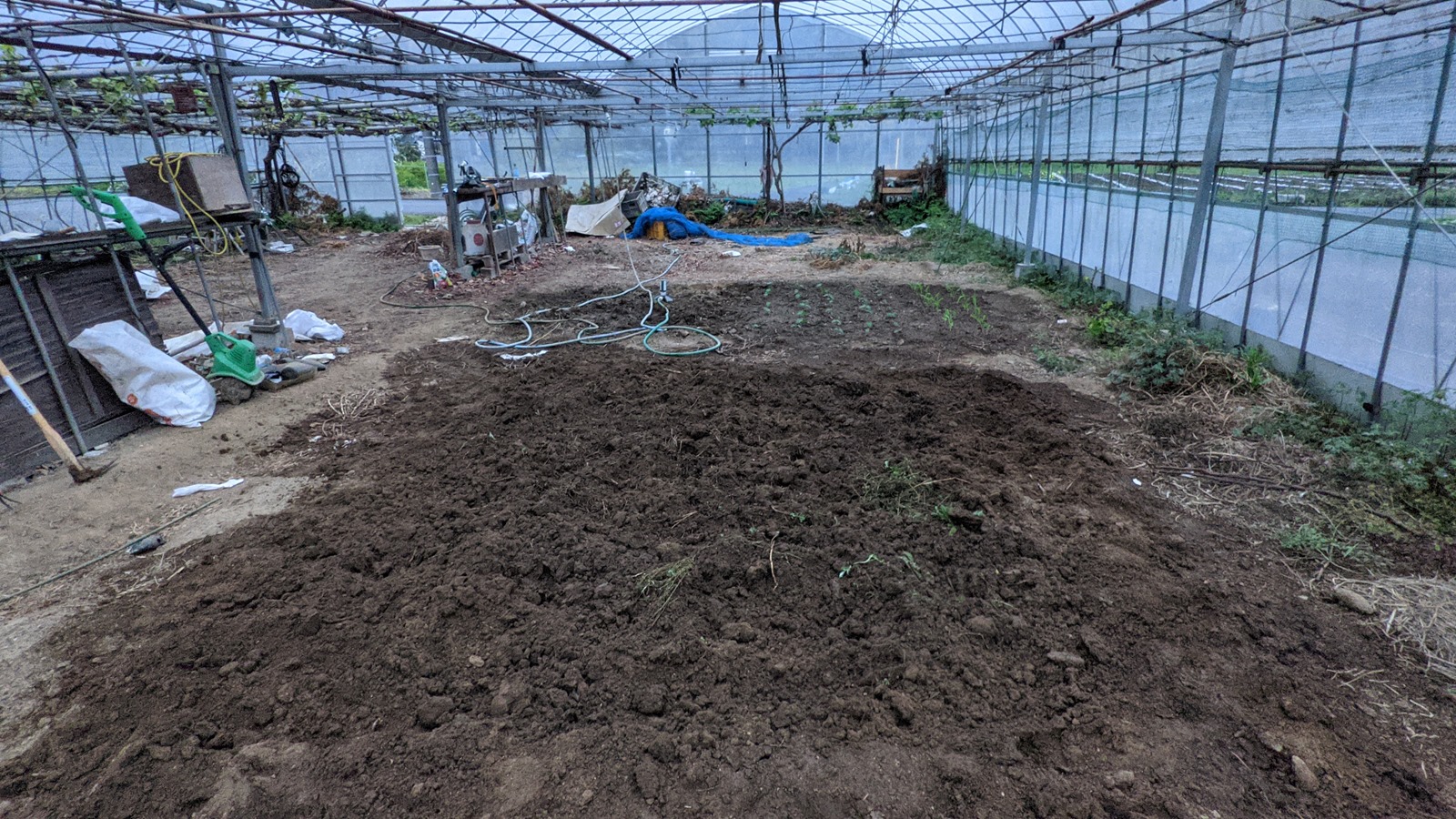 土壌改良 ビニールハウスの土と外の畑の土の入れ替え マサのライフワーク